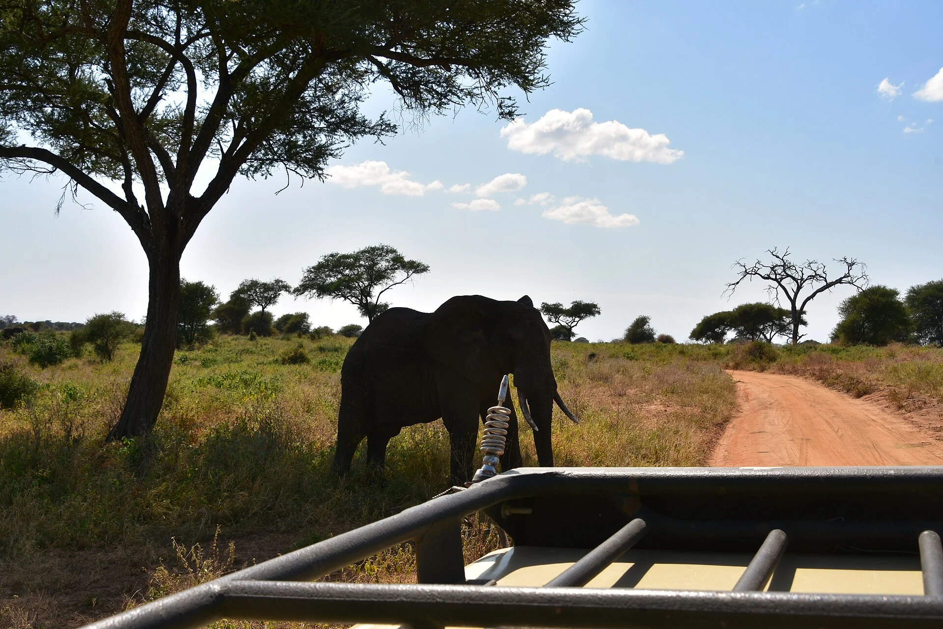 Tarangire National Park — Tanzania