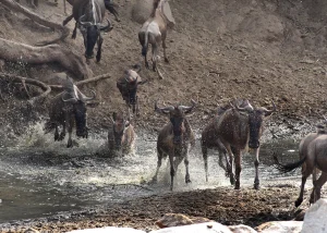 Grumeti Game Reserve — Tanzania