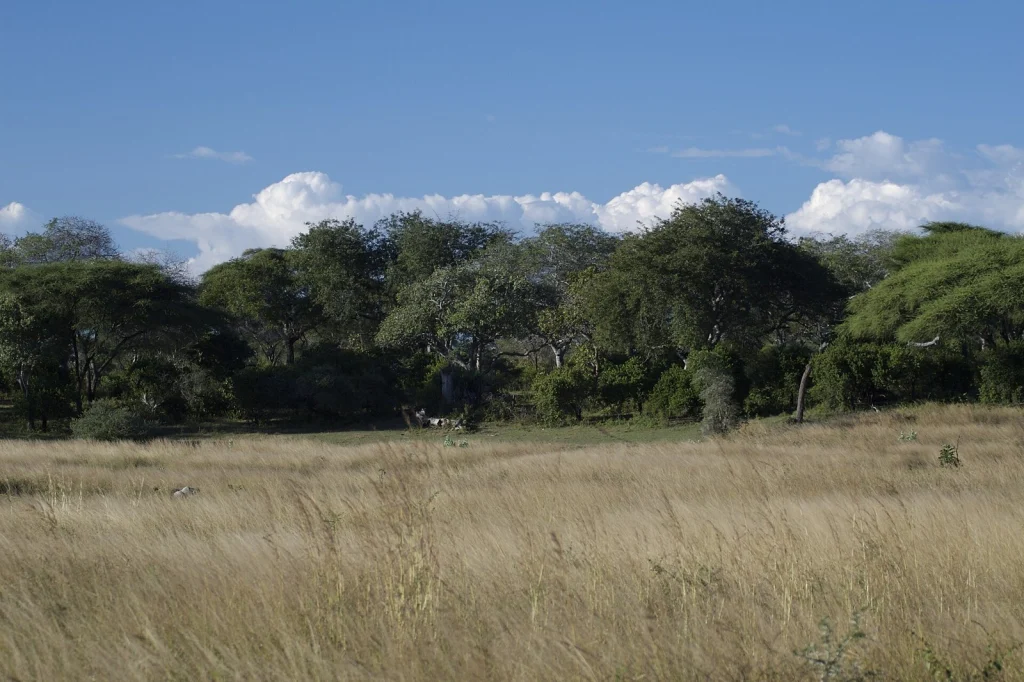 Katavi National Park — Tanzania