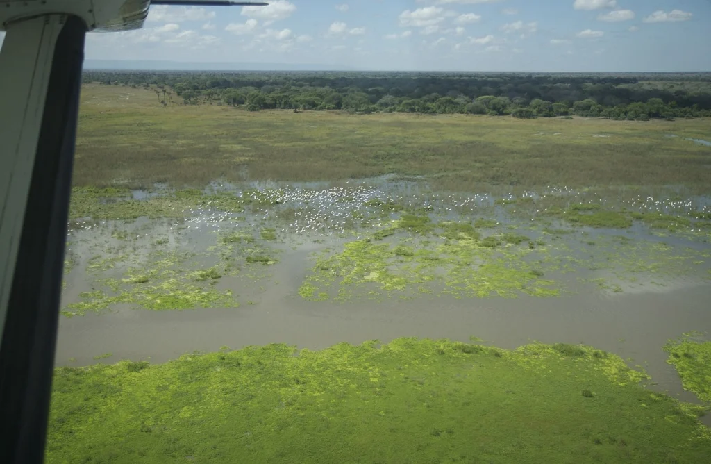 Katavi Aerial.jpg