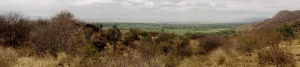 Lake Manyara National Park — Tanzania