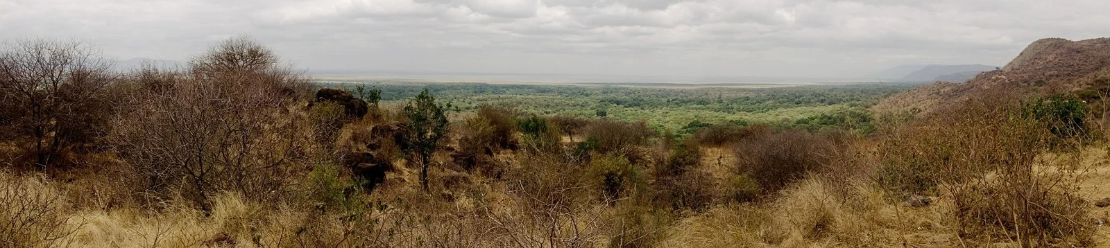 Lake Manyara National Park — Tanzania