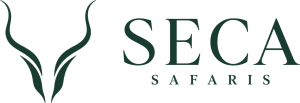 Seca Safaris