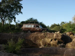 Mkomazi National Park — Tanzania