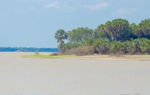 Nyerere National Park — Tanzania