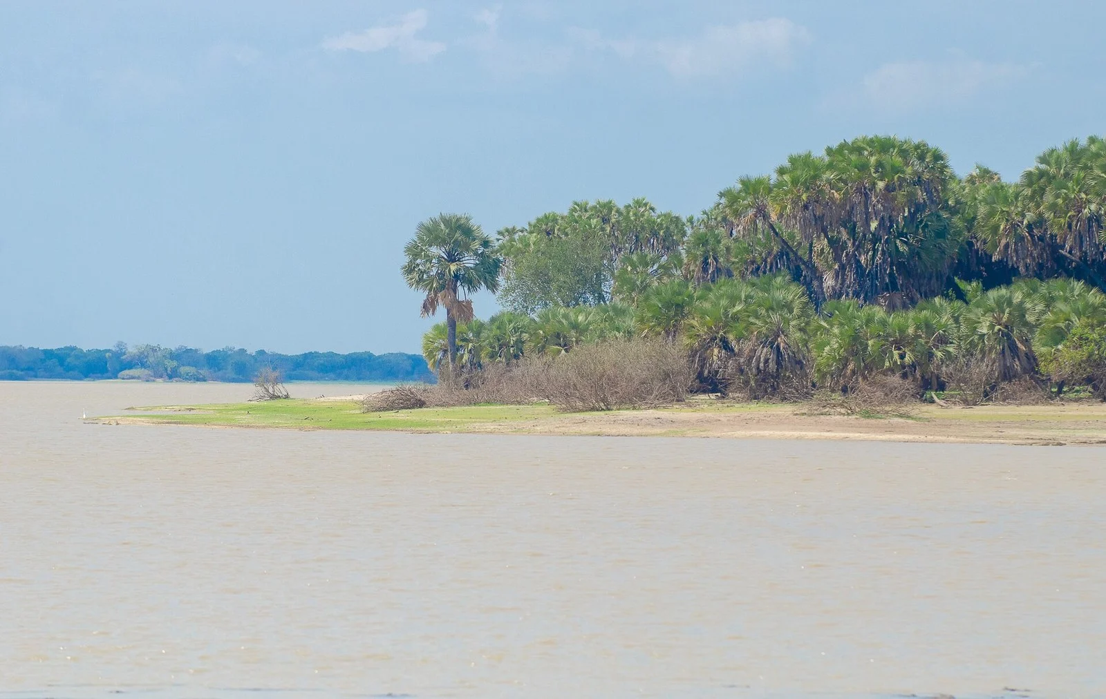 Nyerere National Park — Tanzania