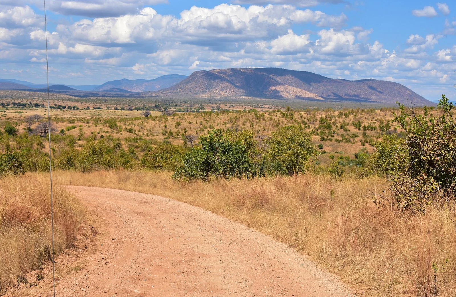 Ruaha National Park — Tanzania