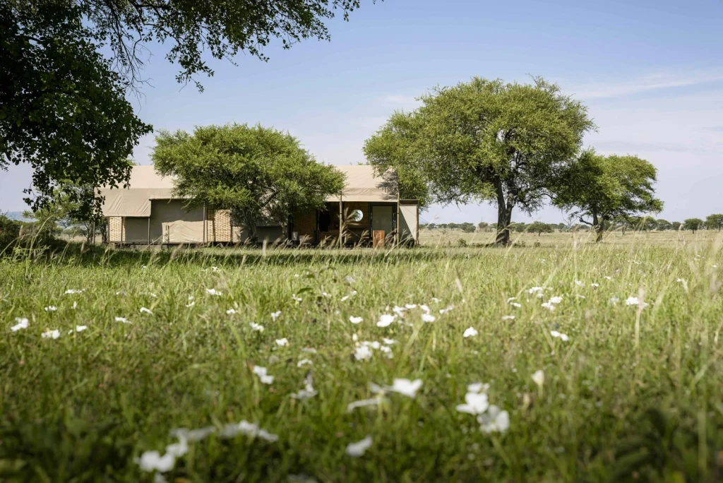Singita Sabora Tented Camp — Grumeti Reserve