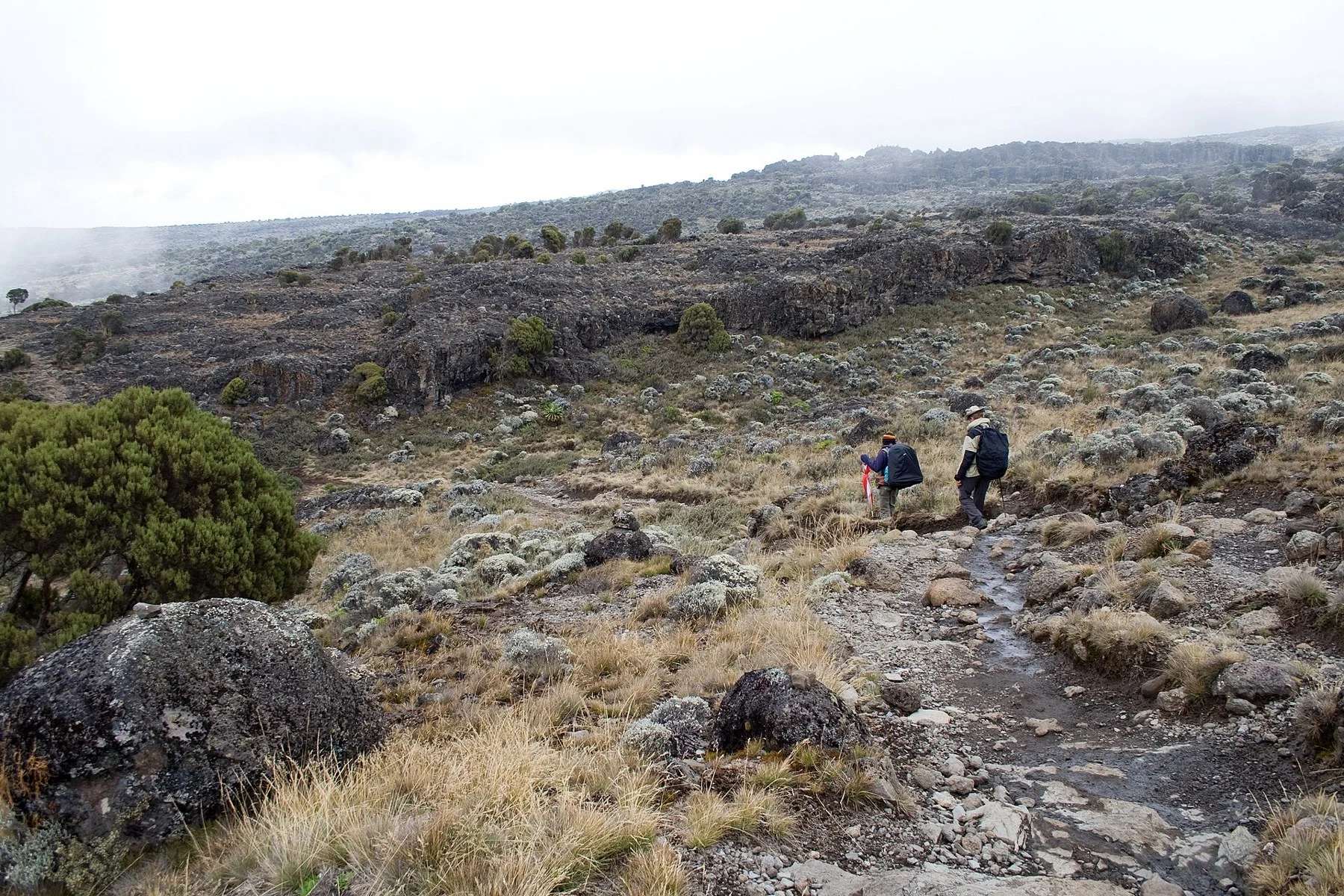 Lemosho — real location photograph